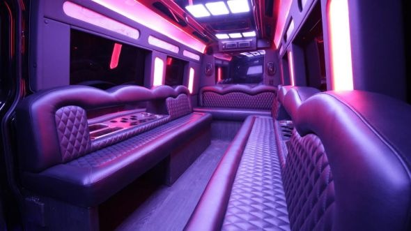 danville sprinter limo rental interior