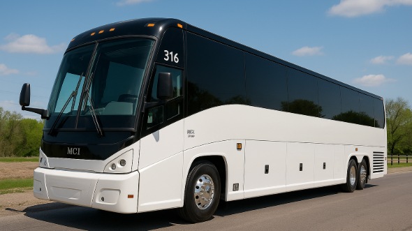 dublin vacation bus rentals for family trips